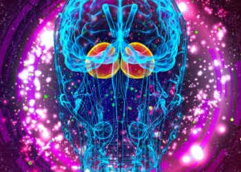 Apa Itu Brainware Berikut Pengertian, Jenis, dan Fungsinya dalam Sistem Komputer